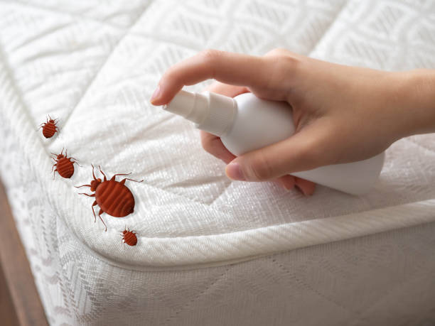 Best Commercial Pest Control Services  in Mokuleia, HI