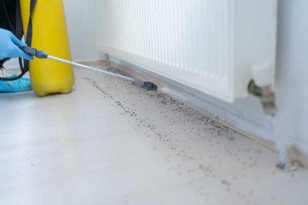 Best Mosquito Control Services  in Mokuleia, HI